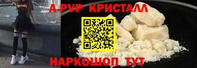 спиды Гай