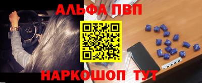 спиды Гай