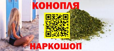 спиды Гай