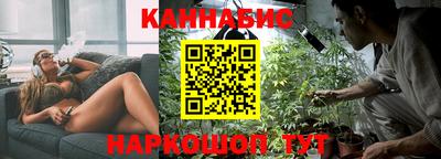спиды Гай