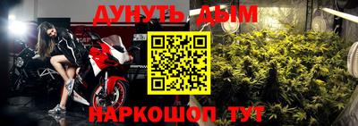 спиды Гай