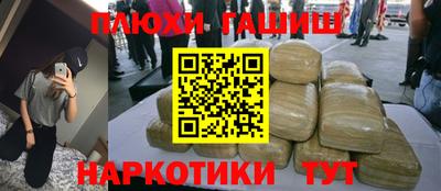 спиды Гай