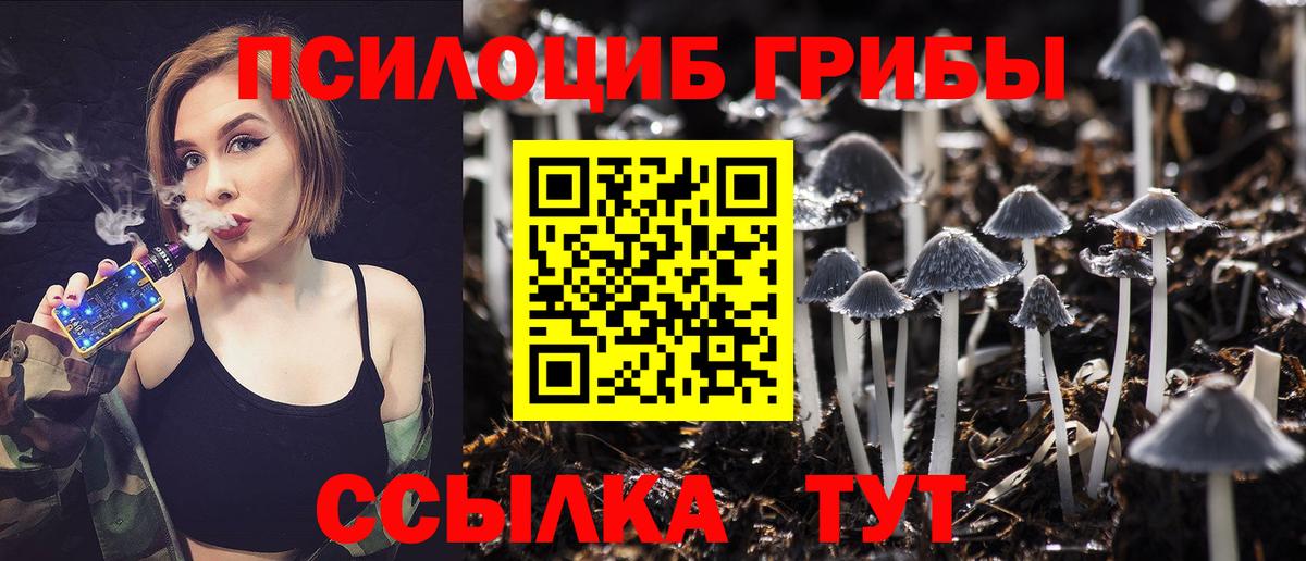 Галлюциногенные грибы ЛСД  Раменское  Псилоцибиновые грибы MAGIC MUSHROOMS 