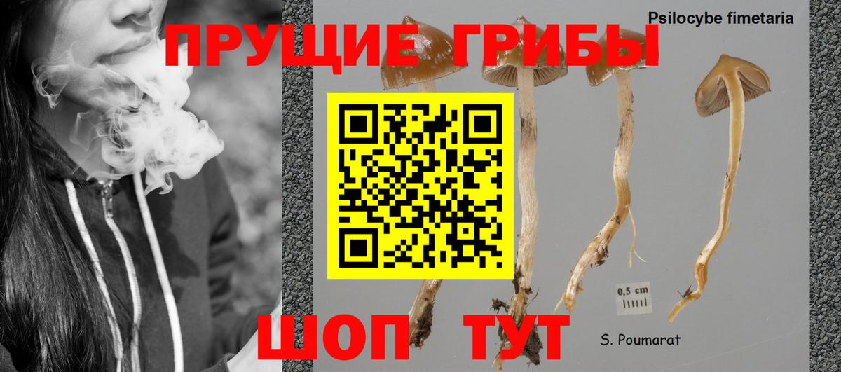 Канабис Раменское