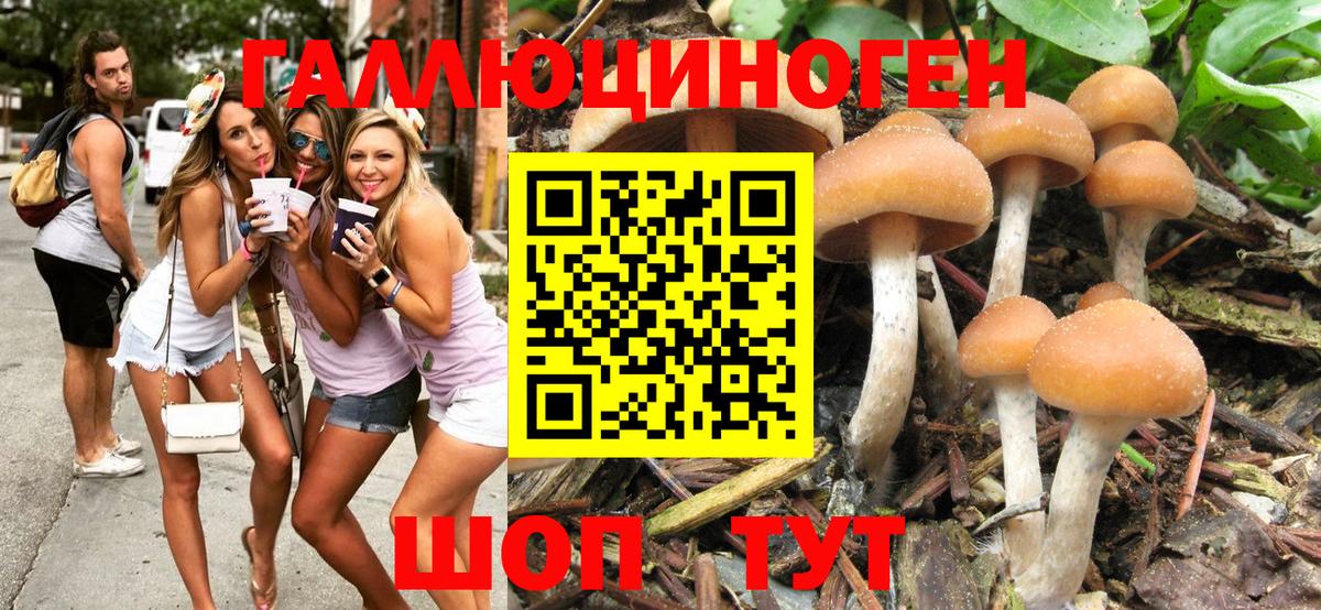 Галлюциногенные грибы прущие грибы Раменское